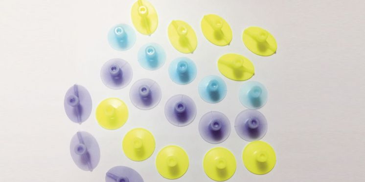 Dolce and Gabbana physical fitness