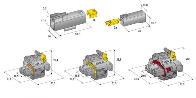 Dolce and Gabbana physical fitness